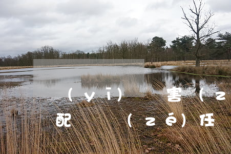 醫(yī)療損害責(zé)任糾紛如何分配舉證責(zé)任？